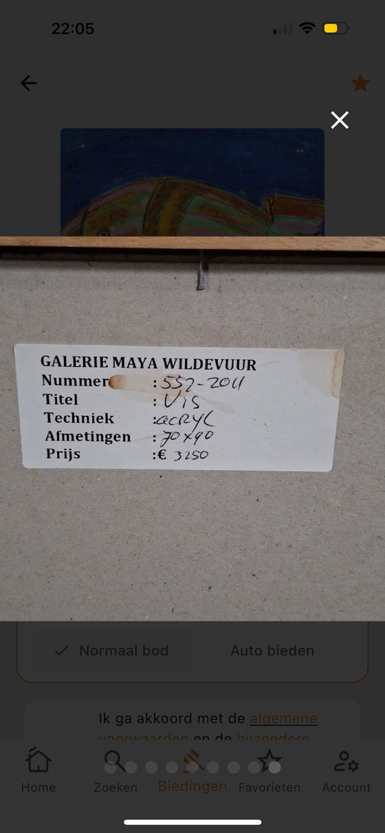 Image 1 of Maya Wildevuur - origineel werk - acryl schilderij - ingelijst - 90x70 cm -Vis