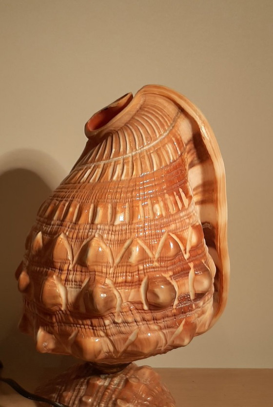 Image 1 of Cameo shell shade. Schelp tafellamp  jaren 20/30