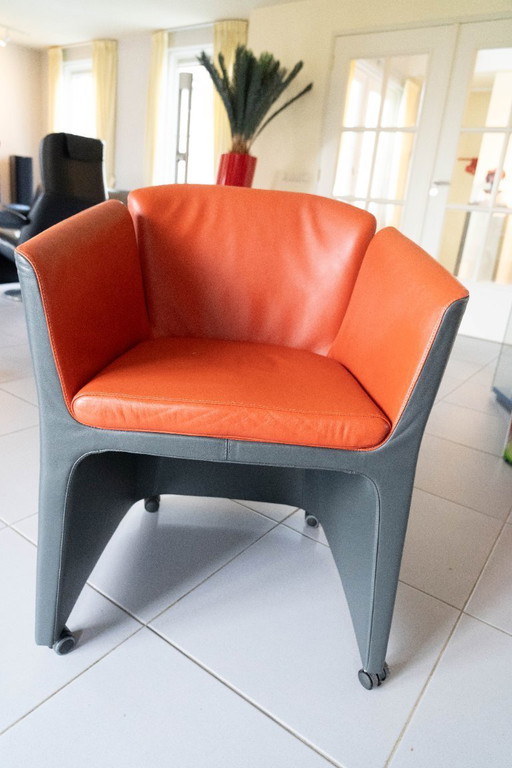 Sedie Montis in pelle grigio pomodoro rosso