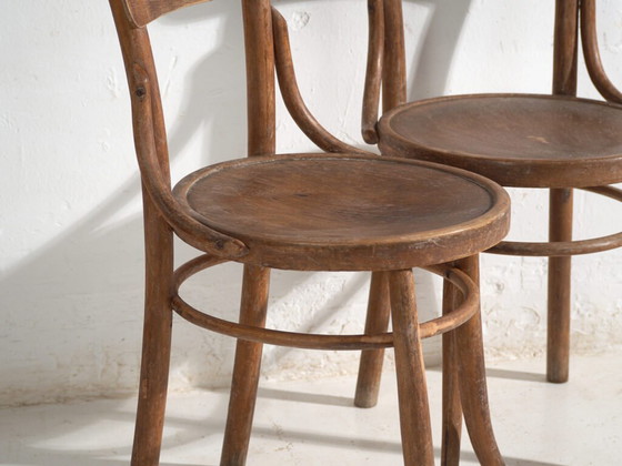 Pair of antique bentwood chairs in the Thonet style – Central Europe, circa 1920 – Dining chairs, Bauhaus (photo 11 of 40)