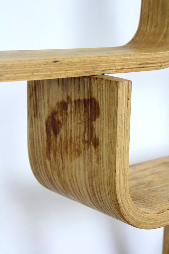 Image 1 of Mid-Century Modern Room Divider by Ludvik Volak for Drevopodnik Holesov, 1960s