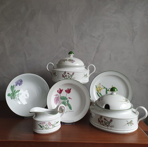 Dinnerware From Seltman Meadows Renate Flowers With Latin Designation