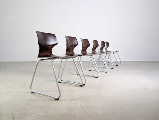 Image 1 of Conjunto original de 6 sillas de madera pavimentadas de mediados de siglo de Adam Stegner, silla ASS