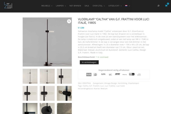 Image 1 of 🏷️ UITVERKOOP - Luci “Caltha” Vloerlamp – Gianfranco Frattini (1982)