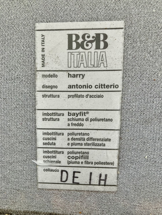 Image 1 of B&B Italia Sofa Harry