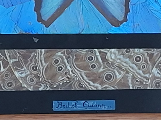 Vassoio Antico Ali di Farfalla Guyana Britannica – Farfalla Morpho – Oggetti decorativi, Vetro, Legno (photo 3 of 7)