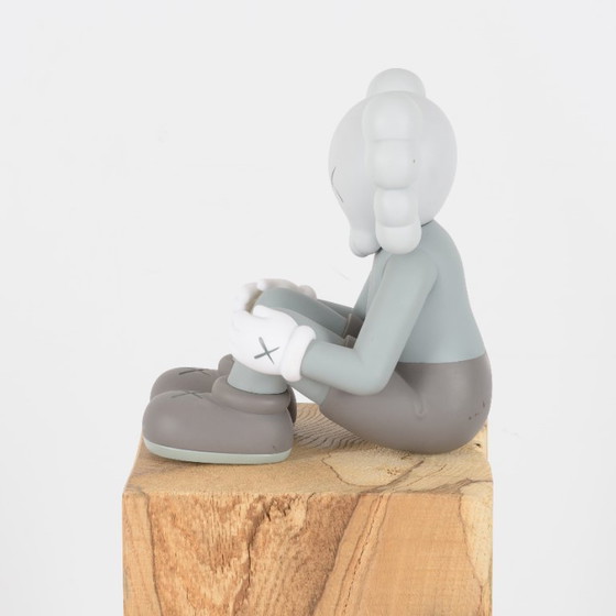 Image 1 of KAWS - Compañero
