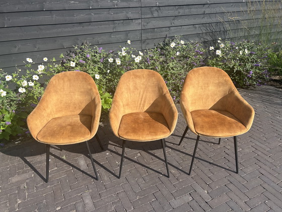 Image 1 of Eetkamerstoelen Montel type Lopez 6 stuks