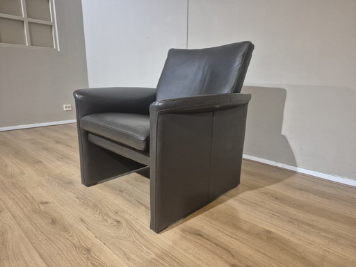 Leolux Antipode - Sessel - Braun - Leder - Neuer Zustand