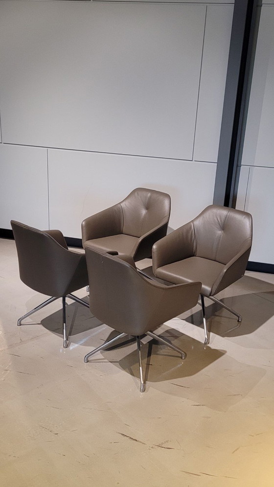 Enset DS-279 S/4 – de Sede, Esszimmerstühle, Leather, Modern (photo 3 of 7)