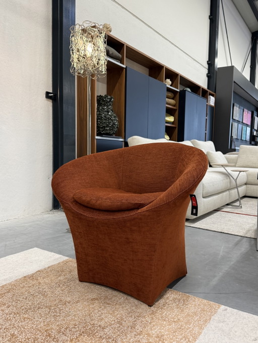 Label van den Berg Ace fauteuil Terra