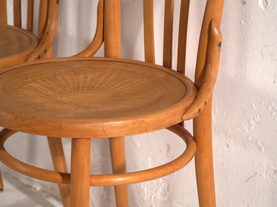 Antique chairs in Thonet style bentwood – Central Europe, circa 1930 #1 – Dining chairs (photo 32 of 40)