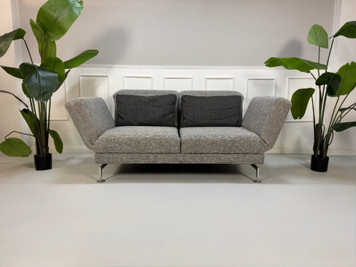 Brühl Moule Sofa Grey Sleeper Sofa Designer Couch Multifunctional