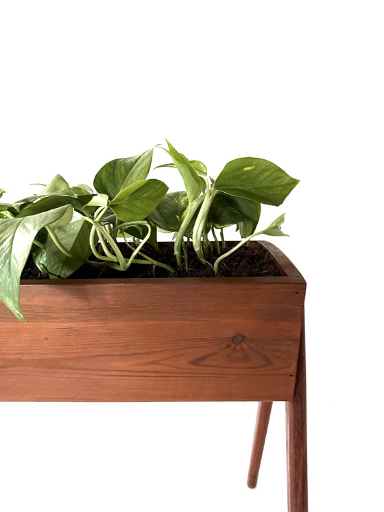 Image 1 of Vintage Danish teak planter '60