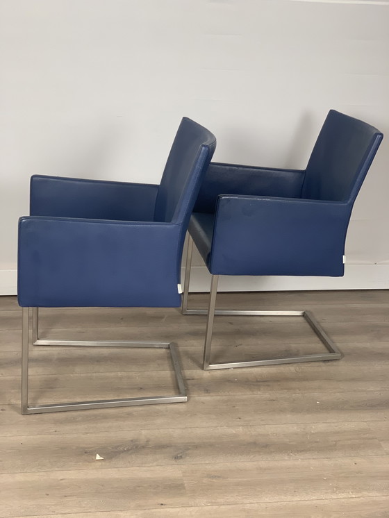 Image 1 of 2 x Tidy van Bert Plantagie 