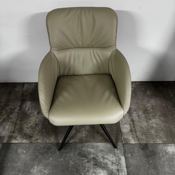 Set di 4 rubini – Bert Plantagie, Sedie da pranzo, Leather, Calfskin (photo 4 of 5)