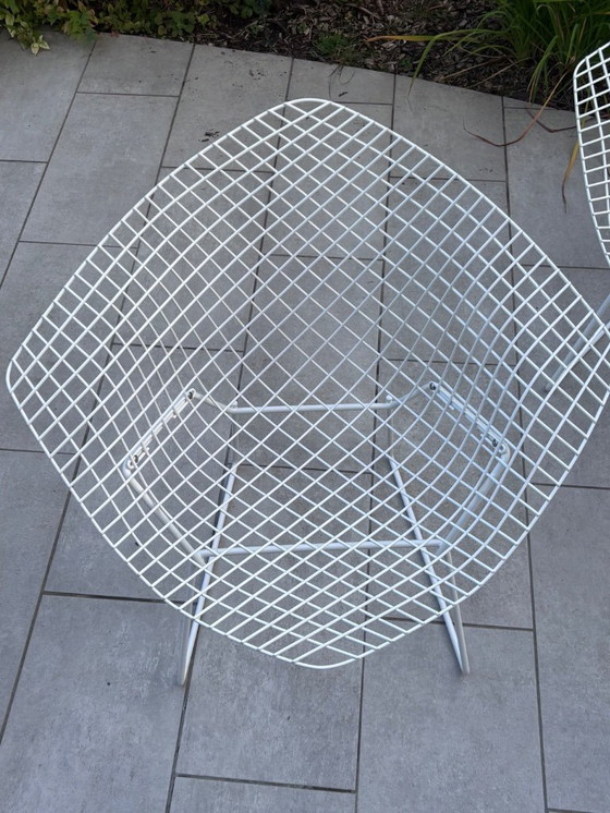 Image 1 of Bertoia Diamond Knoll vintage white armchairs - iconic design