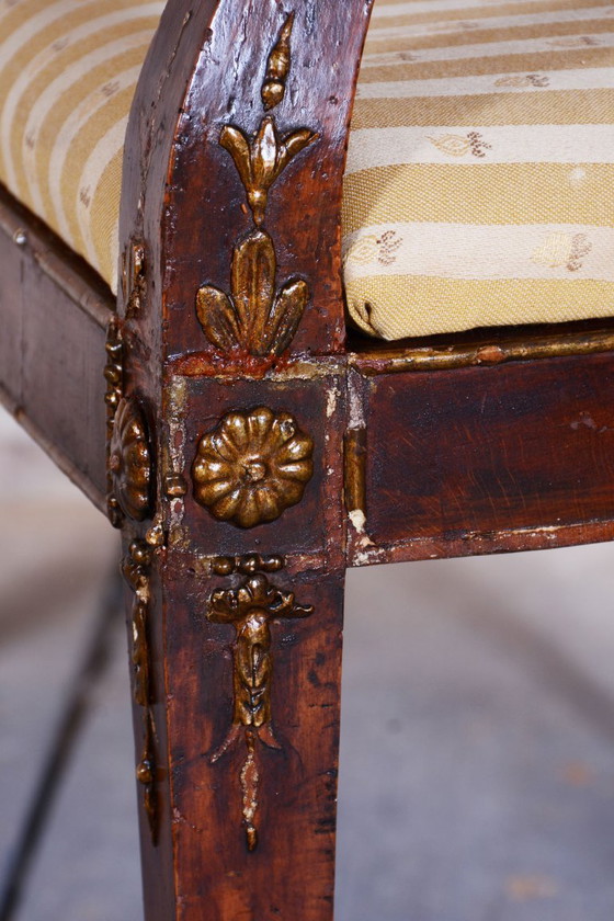 Restored Empire Sofa, Walnut, Spruce, Revived Polish, Austria, 1810s – Textile, Wood (photo 6 of 18)