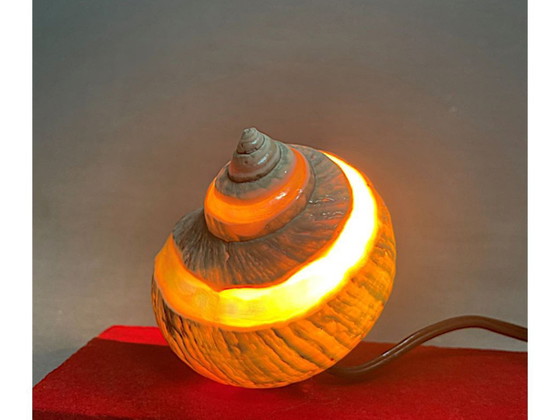 Image 1 of Juego de escritorio con luz de concha náutica y bolígrafo, años 40