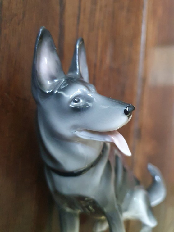 Pfeffer Gotha Skulptur – Deutscher Schäferhund (ca. 1920-1940) – Dekorative Objekte, Porcelain (photo 3 of 13)