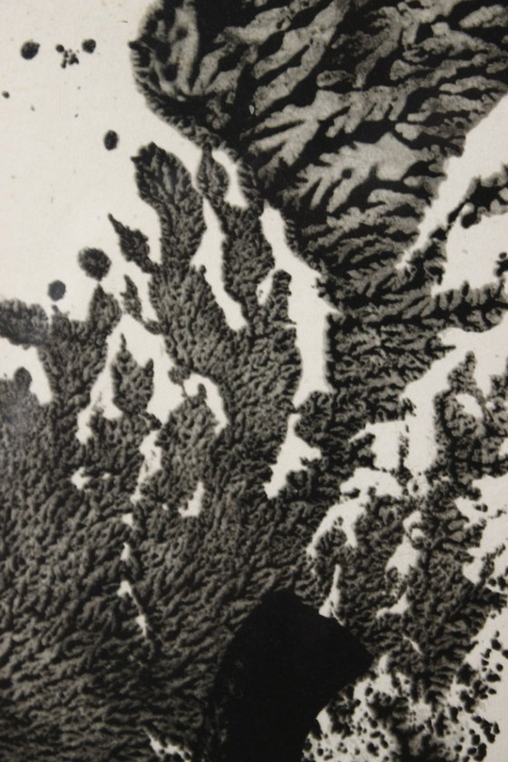 Image 1 of Theodor Werner (1886–1969) Signierte, gerahmte Lithografie