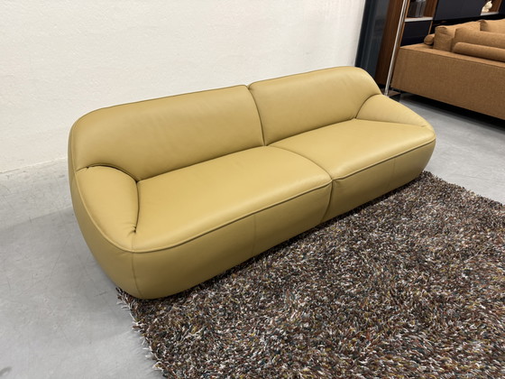 Image 1 of Divano Pode Nivti 3,5 posti Pelle Perla Salba 