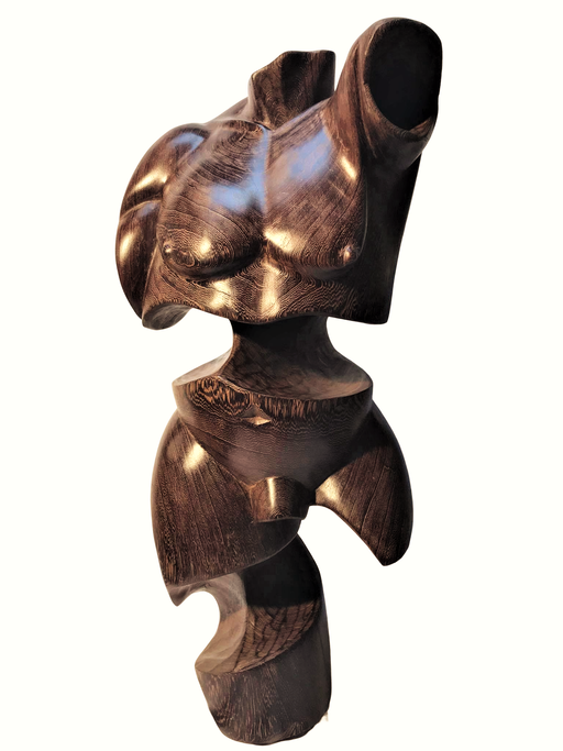 Hombre torso