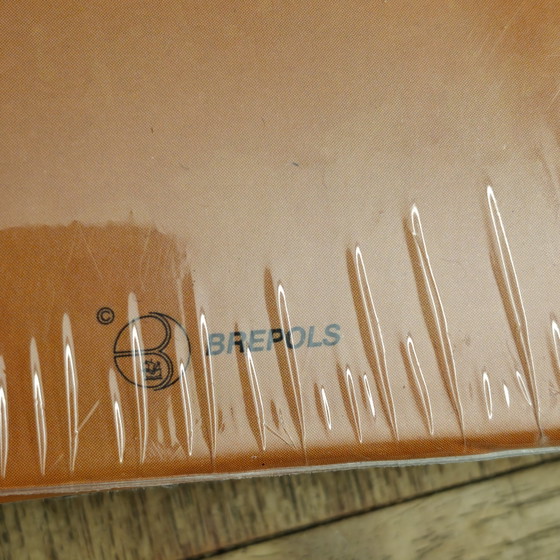 Image 1 of Vintage Brepols travel photo album / Album photo 'Zone Torride' NEW