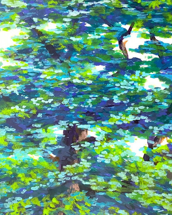 Image 1 of Lebanese Cedar