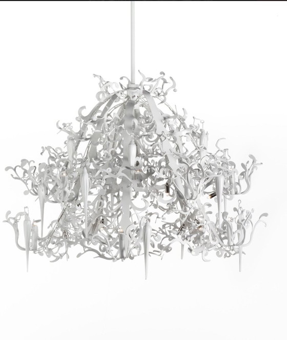 Image 1 of Marchio Van Egmond Flower Power