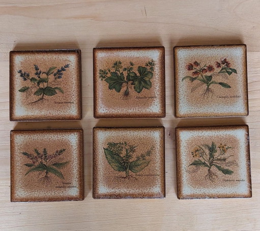 16 paquetes de 6 azulejos de pared de cerámica vintage con estampado botánico, década de 1970.
