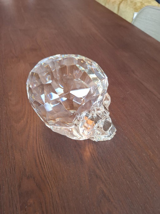 Hamlet Dilemma Crystal skull limited edition 5/093 for Seletti