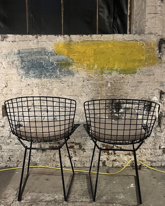 Image 1 of 2 zwarte wire chairs van Bertoia voor Knoll