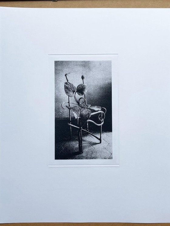 Image 1 of Claude Lalanne: Sedia Horta, incisione heliogravure su carta