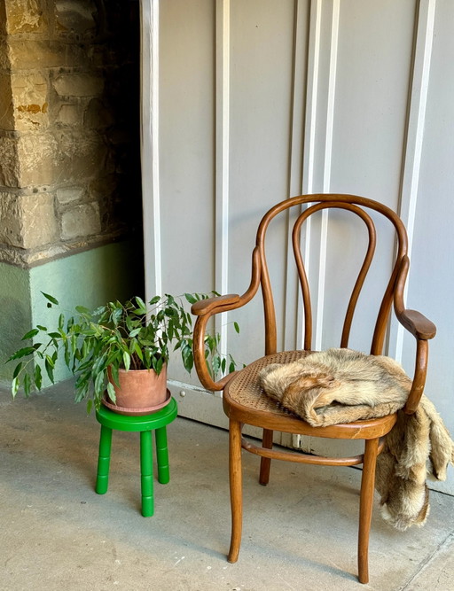 Josef & Jacob Kohn No. 18 Fauteuil en bois courbé et cannage