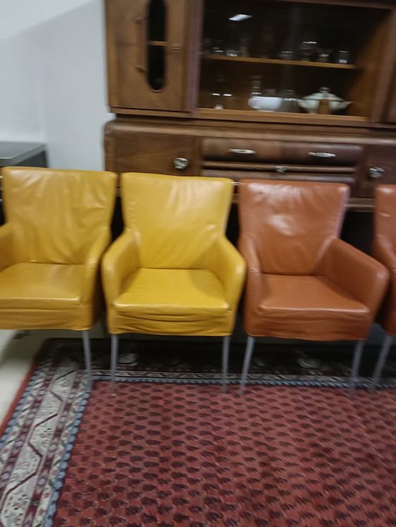 Image 1 of 4 lussuose sedie in pelle