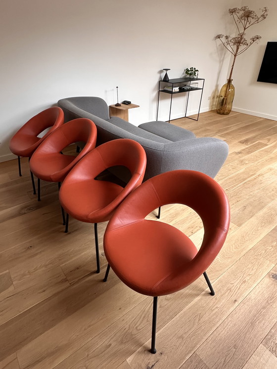 Image 1 of 4 sedie Artifort Nina