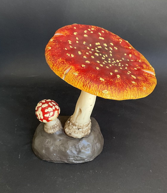 Image 1 of Vintage Deyrolle Vliegenzwam Paddestoel Model – Amanita Muscaria