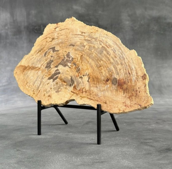 Image 1 of Bois fossilisé de Sooka, fabrication sur mesure standard (neuf)