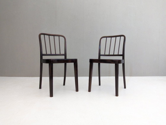 Image 1 of Sillas de comedor Thonet A 811/4 de Josef Hoffmann para Thonet, década de 1930