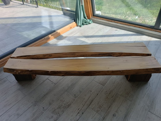 Image 1 of Sylvan Origin - Der Geist des ungezähmten Vermächtnisses