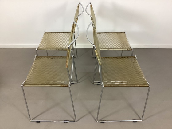 Image 1 of 4 vintage Giandomenico Belotti spaghetti stoelen Alias