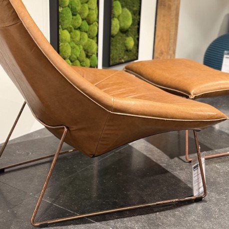 Image 1 of Jess et Poof Beal