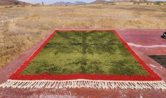 Moroccan Berber rug in green and red 300x200 cm – handmade rug – Rugs & carpets, Wool, Cotton, Vintage (photo 3 of 8)