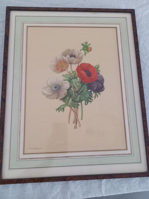Magnifique cadre avec une œuvre de Redoute – giclee prints, Glass, Paper