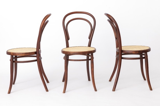 Ensemble de 6 chaises de salle à manger autrichiennes vintage en bois courbé, assises en hêtre foncé et (photo 4 of 11)