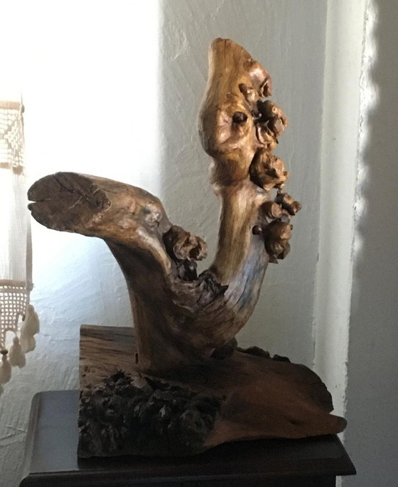 Sculture in legno organico chiamata "Doble Impulso", Marrone, Organic Modern (foto 7 di 12)