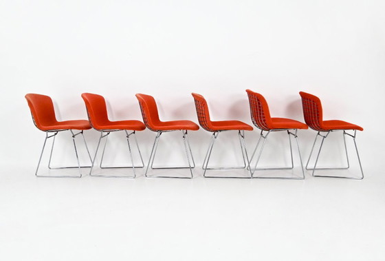 Image 1 of Sillas de Harry Bertoia para Knoll, década de 1960, juego de 6