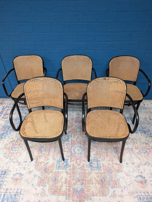 5x Vintage Prague 811 chairs, Josef Hoffmann, 1960s