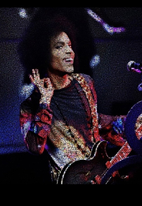 Image 1 of Opera d'arte Crypto Prince VII